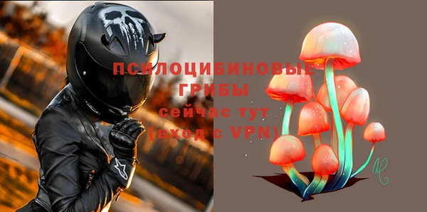 дурь Богородицк