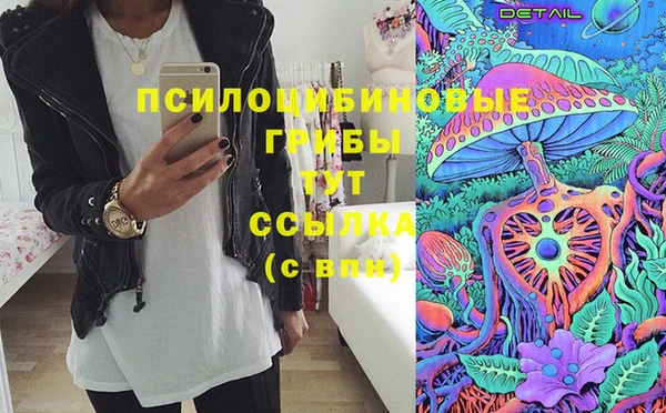 МДПВ Богданович