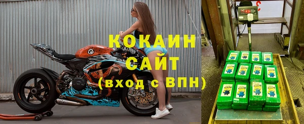 дурь Богородицк